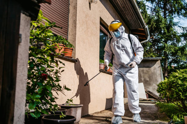 Best Termite Control Services  in Ntgomery City, MO