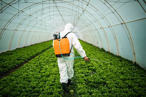 Best Affordable Pest Control Services  in Ntgomery City, MO