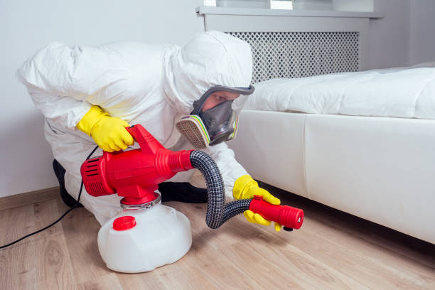 Best Bed Bug Extermination  in Ntgomery City, MO