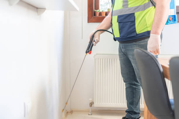 Best Termite Control Services  in Ntgomery City, MO