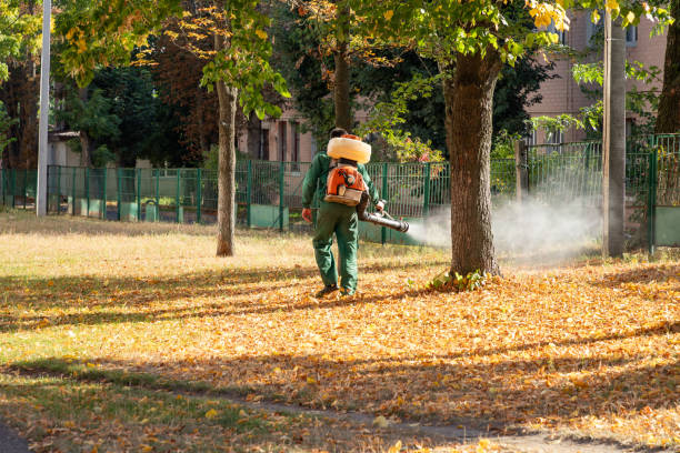 Best Pest Control for Businesses  in Ntgomery City, MO