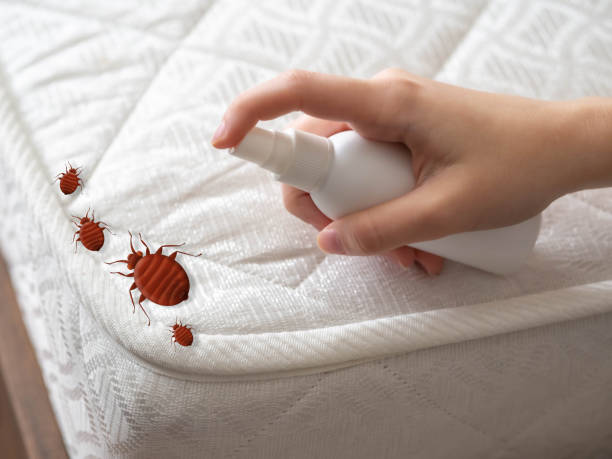 Best Pest Prevention Services  in Ntgomery City, MO