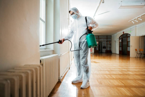 Best Residential Pest Control  in Ntgomery City, MO