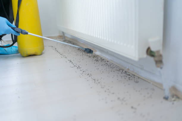 Best Commercial Pest Control Services  in Ntgomery City, MO