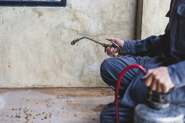 Best Flea Control Services  in Ntgomery City, MO
