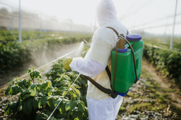 Best Bed Bug Extermination  in Ntgomery City, MO